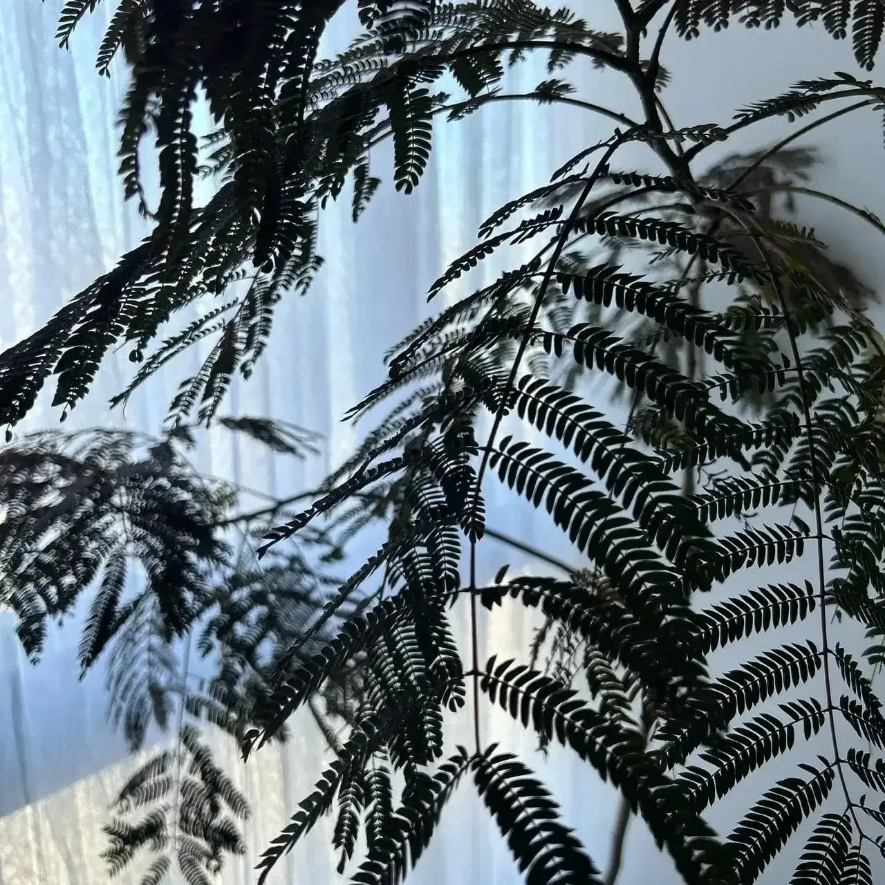 リラクゼーション空間